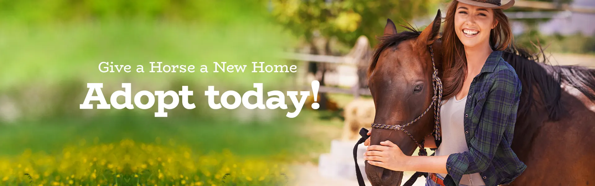 Adoption Application Arkansas Thoroughbred Retirement and