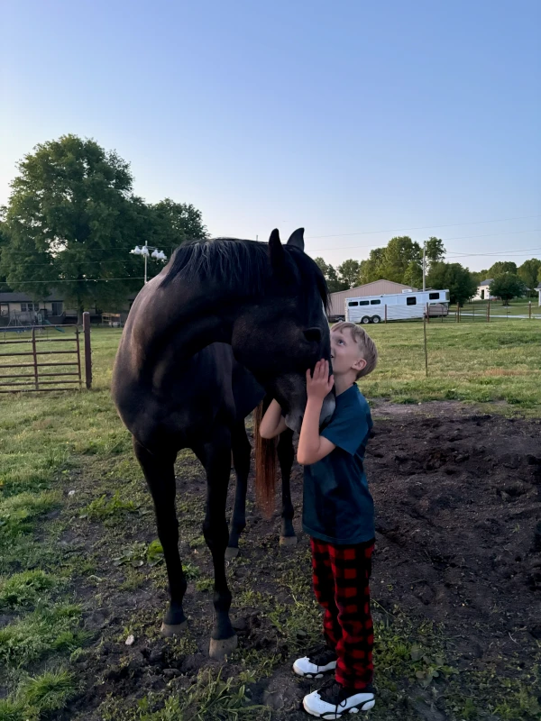 "Menu" race horse adopted through Arkansas Thoroughbred Retirement and Rehabilitation in Arkansas