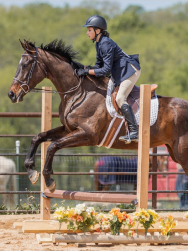 "Nice Move" adopted through Arkansas Thoroughbred Retirement and Rehabilitation in Arkansas